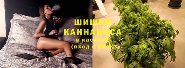 прущие крисы Арсеньев